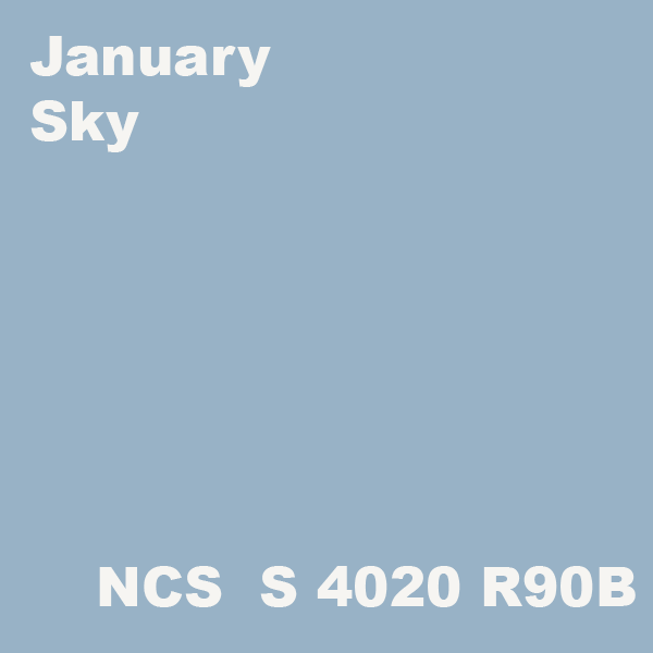 January Sky